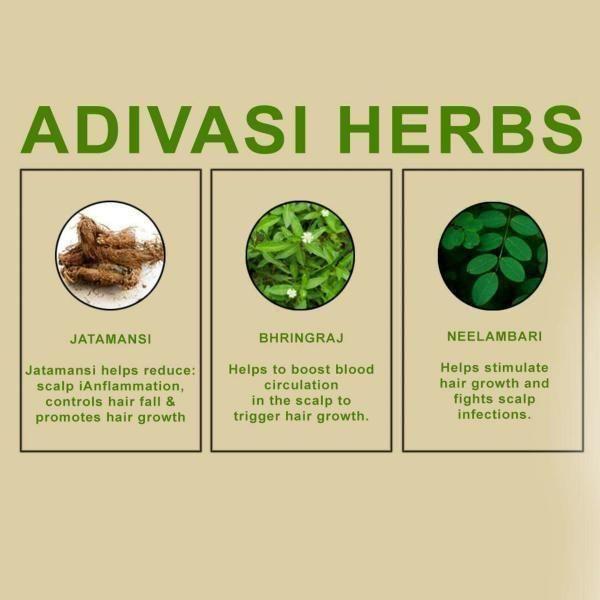 šAdivasi Sanjivani Herbal Hair Oil (Pack of 2) š„Buy 1 Get 1 Freeš„ 4.8āāāāā(999+)